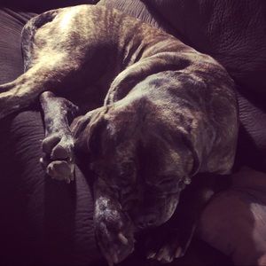 Meet your Posher, Whittney